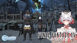 【FINAL FANTASY XIV】【初見🔰】タンクレベリング74～何をすればよい？【ファイナルファンタジー14 】 #FINALFANTASY #FFXIV