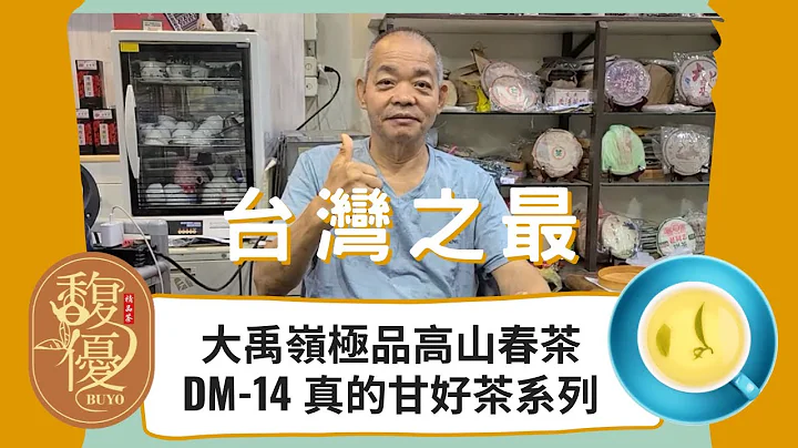 好茶推薦：台灣之最《大禹嶺極品春茶》DM14 真的甘好茶系列 阿福推薦好茶【馥優精品茶】說明欄中有買茶網址 EP.12 - 天天要聞