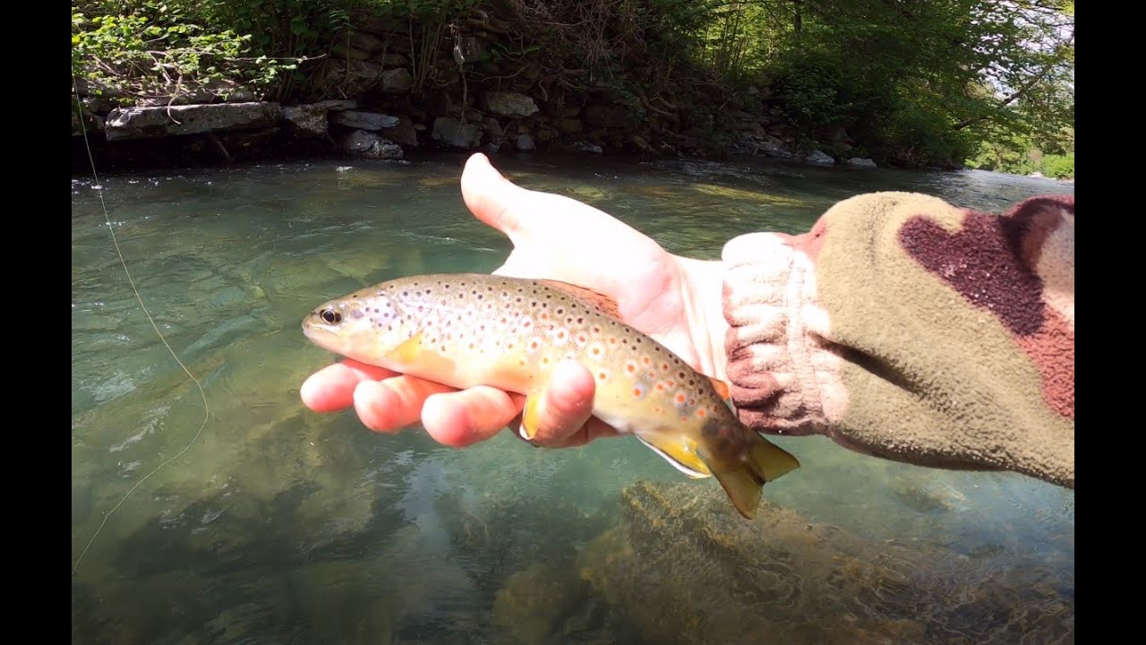 Pêche toc nymphe de début de saison