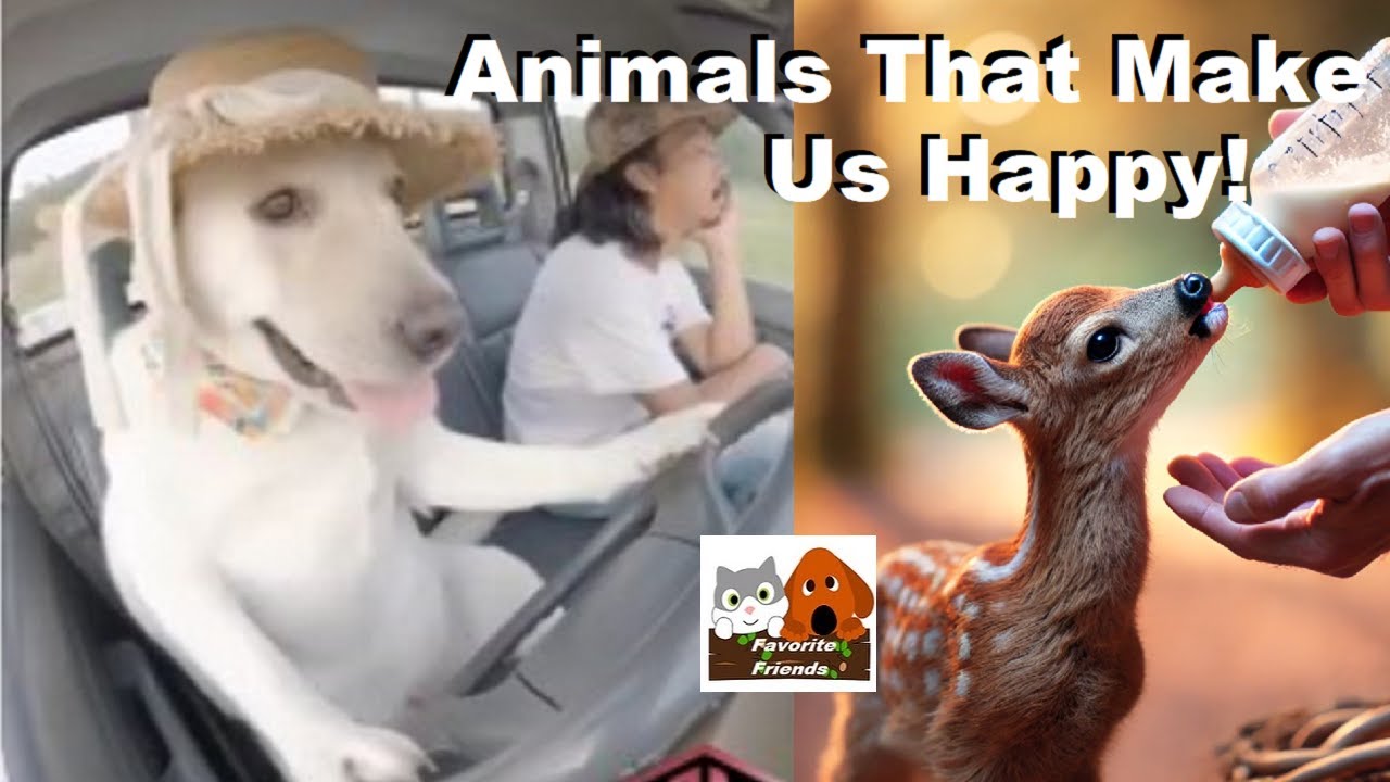 Latest Title & Thumbnail