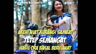 Setory. Wa Rx king
