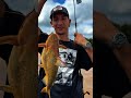 esca Embarcada de la mano de Alejo #pesca #fyp #camping #paranalaspalmas #parati