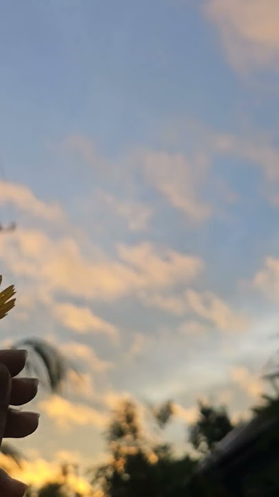 #music #song #musician #newsong #nature #love #flowers #sahiba #nature #naturephotography #wildlife