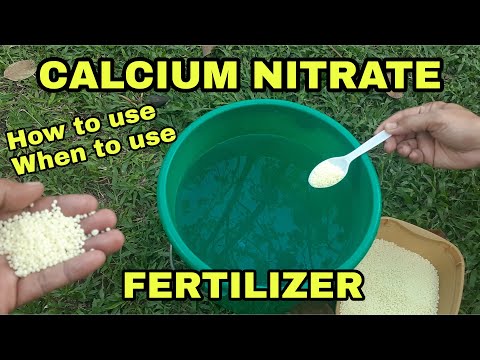 Video: Ano ang Calcium Nitrate: Kailan Gamitin ang Calcium Nitrate Sa Hardin