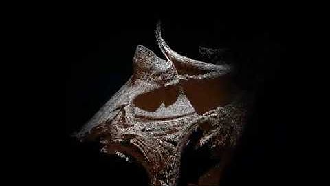 arKelogiK 01 _  realTime Video Work with TouchDesigner