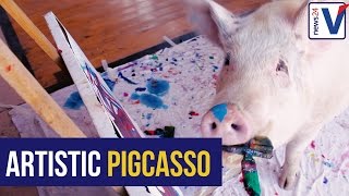 Watch Meet Pigco Sas Painting Hog