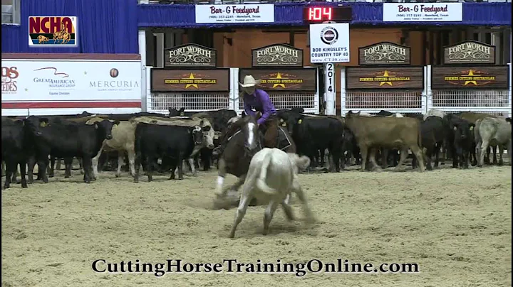 2014 NCHA Summer Spectacular Great American Insura...