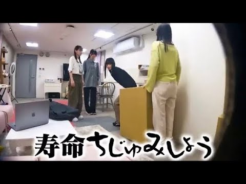 遠藤さくらを寄ってたかってドッキリにかける賀喜遥香・田村真佑・金川紗耶｜乃木坂46 バナナマン 【乃木坂工事中】