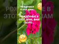 Вам скоро повезёт  / Рождённые в этот день Эзотерика Гороскоп Знаки Зодиака  Нумерология 999