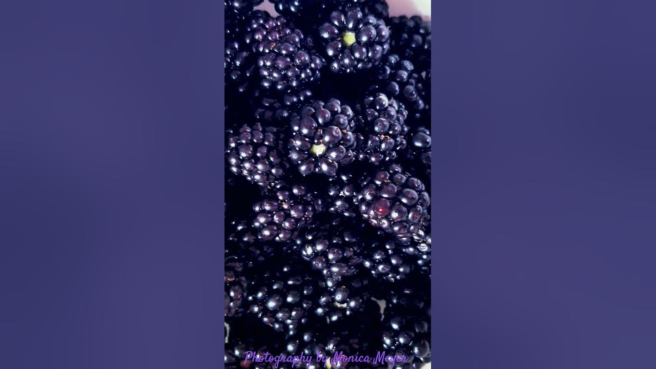 #blackberrysmoke
