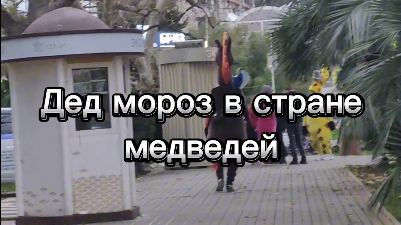 Сочинский цирк