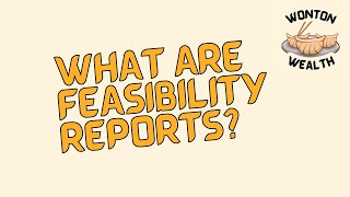 What Are Feasibility Reports