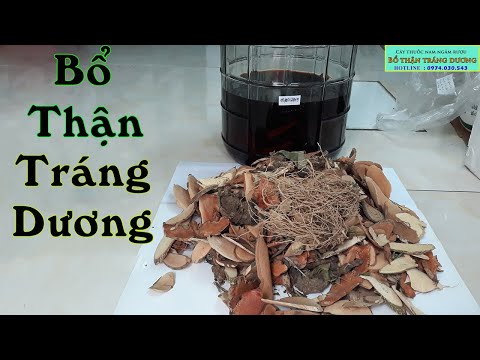 Video Cây thuốc ngâm rượu bổ thận tráng dương tăng cường... - youtube