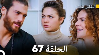 مسلسل الطائر المبكر الحلقة 67 (Arabic Dubbed) - FULL HD
