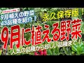 9月に植える野菜（43品種）永久保存版