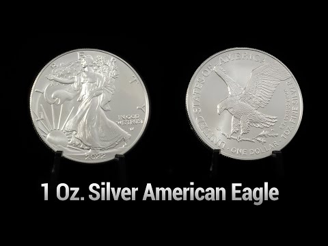 1 Oz Silver American Eagle