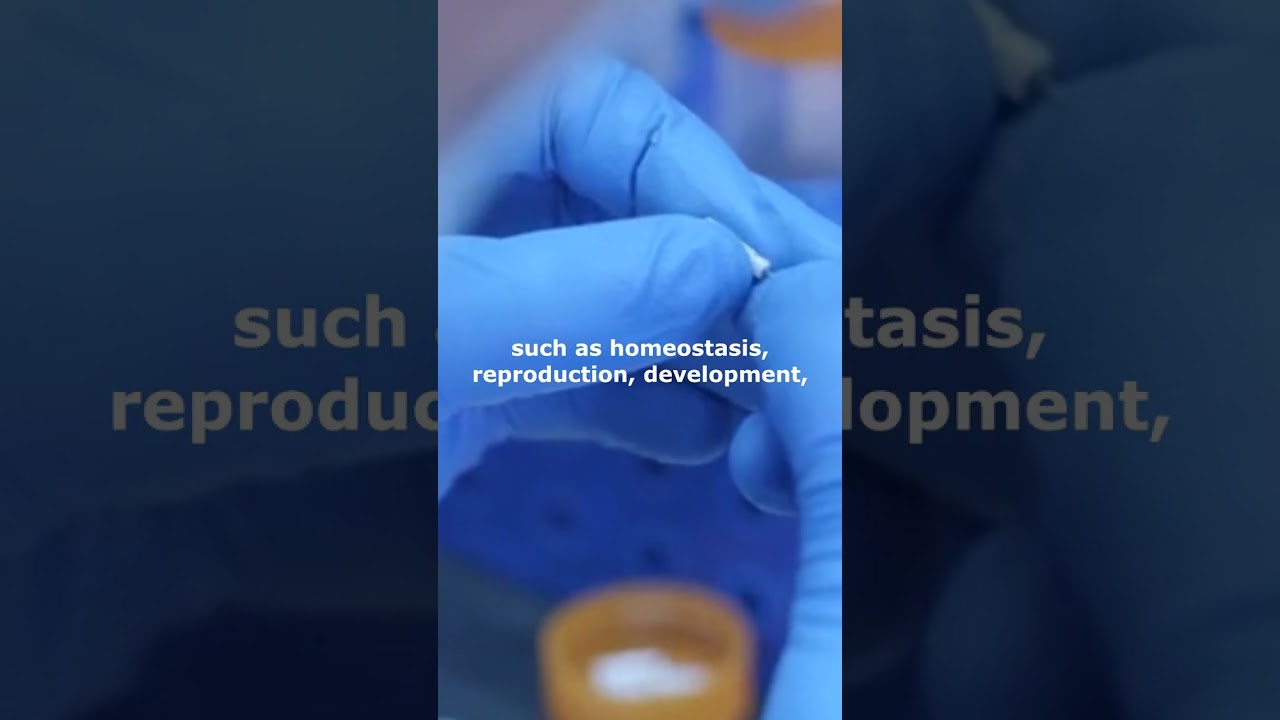 FDA acknowledges the potential of OCU400 to treat RP and LCA