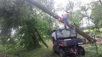 Rednecks Cutting Down a Tree
