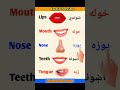 English To Pashto Sentence englishwithamir