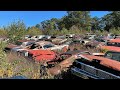 Biggest Classic Mustang Junkyard Exploration Ever! Baxter Classic Cars