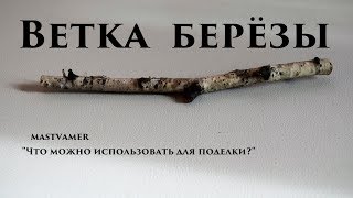 Ветка береза Ветка береза