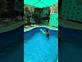 #mayatailsntrails #explore #explorepage #viral #treding #pets #shortsfeed #shorts #shortsviral