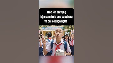 Trọc lén ăn hộp cơm trưa của capybara và cái kết ngã ngửa  #capybara