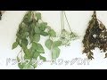 ドライフラワースワッグの作り方【DIY】