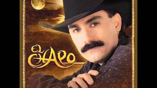 Watch El Chapo De Sinaloa Para Que Regreses video