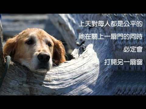 心煩時記住三句話 Yiruma - Love Hurts