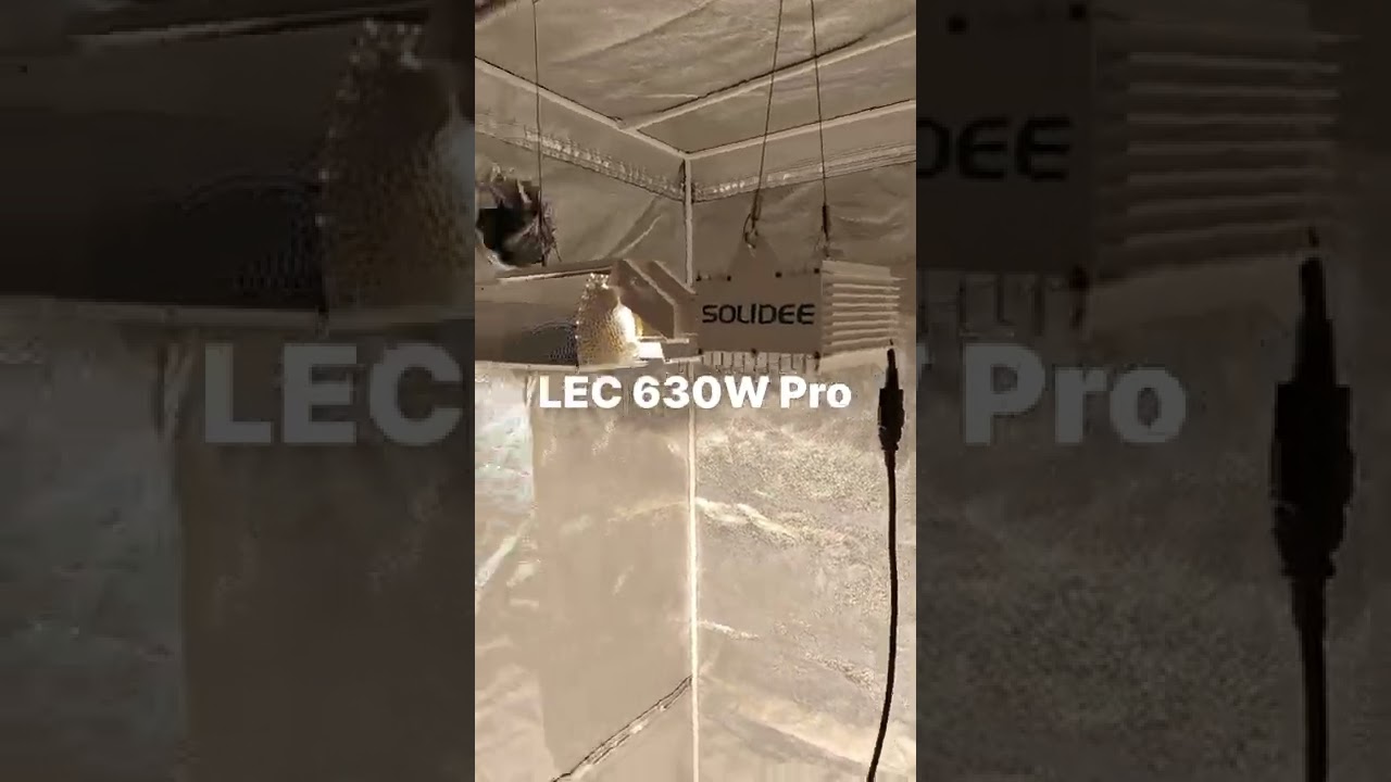 LEC 630W Pro