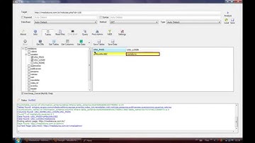 Havij SQL Injection  (credits mrbrunohacked)