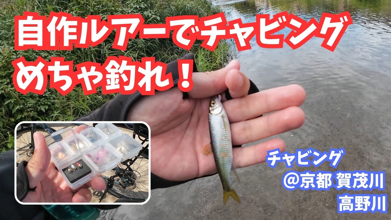 自作ルアーチャビング【京都 賀茂川 高野川】