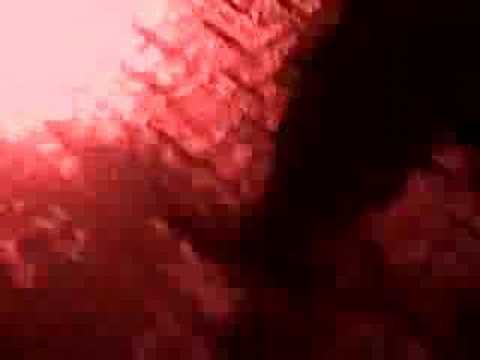 THE LAST STORY- TEASER 1