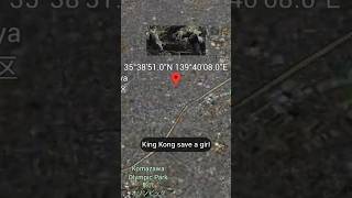 King Kong in google earth and google maps #kong #godzillaxkong #kingkong