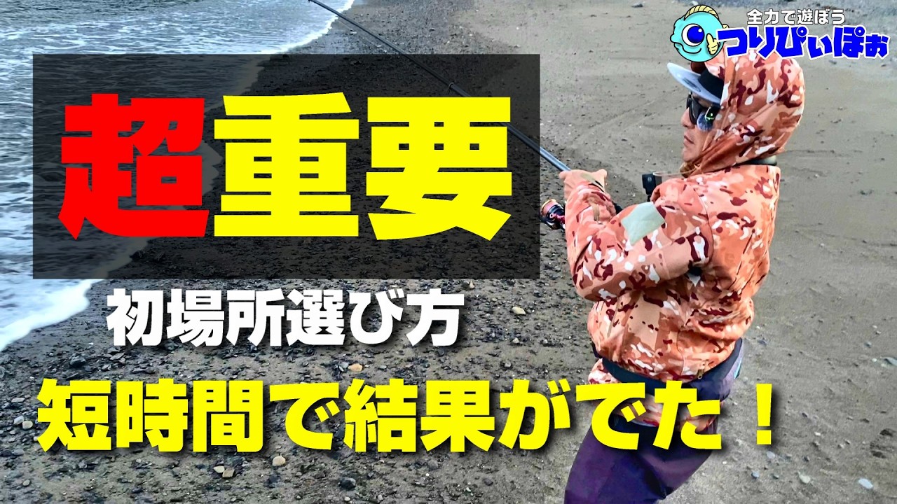 3つ重要なポイントが解ればアオリイカ釣りの場所選びに失敗しない