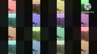 Hasimara To Cooch Behar Riding