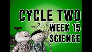 Cycle 2 Week 15 Science: Forms of Energy