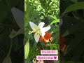 25 июня 2025 г.