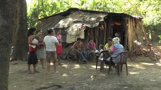 Nicaragua : mortelle canne à sucre