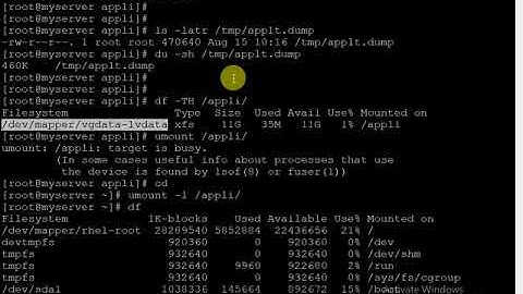 Reducing XFS File System in RHEL