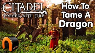 Citadel Forged With Fire HOW TO TAME A DRAGON