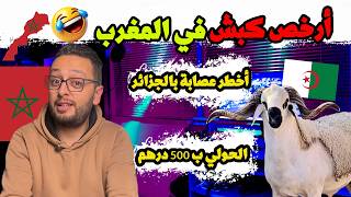 حقيقة "أخطر عصابة" صدمت العالم! و كذبة 300 صحابي بالجزائر؟! 🤦‍♂️ فضيحة "حولي بـ 1000 درهم" 😱