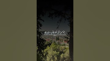 يَوْمَ لَا يَنفَعُ مَالٌ وَلَا بَنُونَ (88) | سورة الشعراء