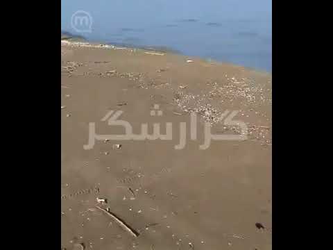 آلودگی ساحل نور