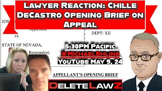 ⚖️📝 Lawyer Reaction: Analyzing Chille DeCastro's Opening Brief on Appeal