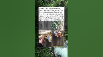 Man Builds Tiny Picnic Table for Squirrel Visitor