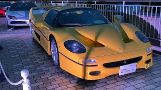 スーパーカーデイ2日目【TOKYO SUPERCAR DAY 2022 Spring】日本