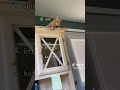 Ranking funny cat fails #funny