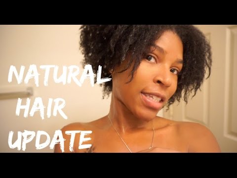 NATURAL HAIR UPDATE! - YouTube
